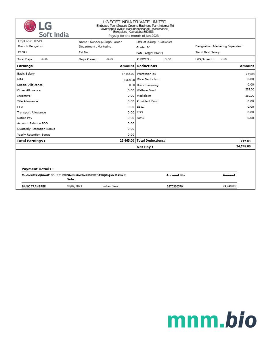 Szablon odcinka wypłaty LG Soft India w formatach Word i PDF